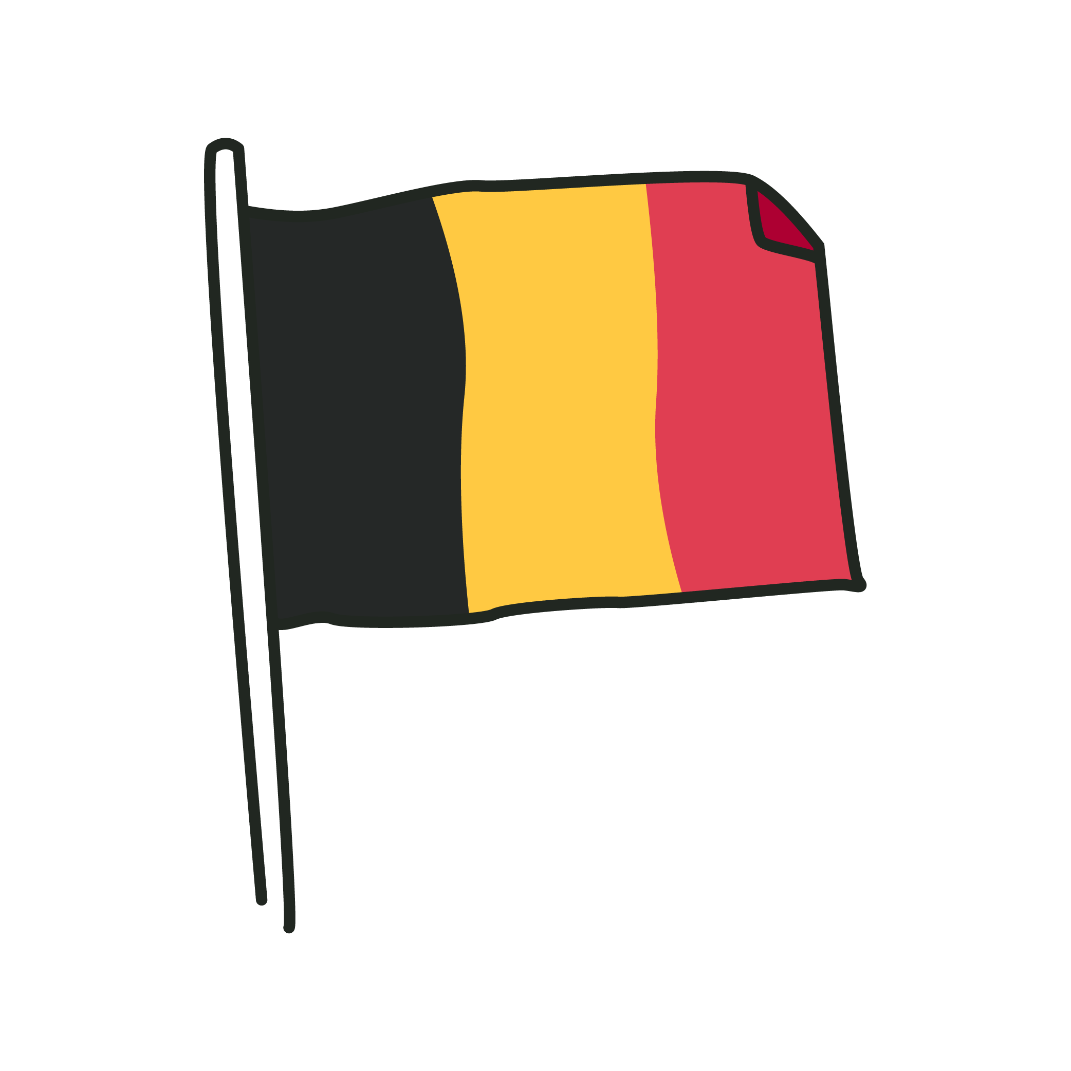 international-vacancies-flag-belgium.png