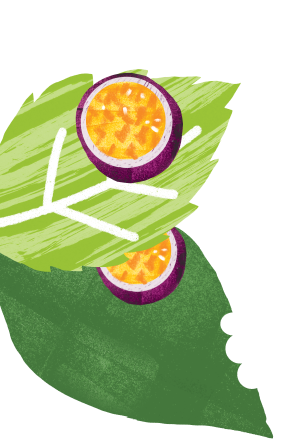 feuille