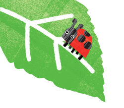 feuille