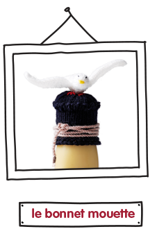 bird hat