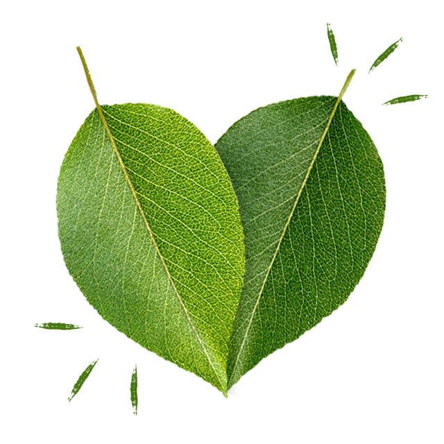 deux feuilles qui se chevauchent